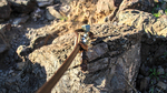 photo thumbnail #6