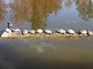 photo thumbnail #13