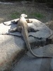 photo thumbnail #14