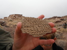 photo thumbnail #5