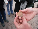 photo thumbnail #10