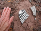 photo thumbnail #12