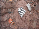 photo thumbnail #13