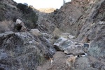 photo thumbnail #9