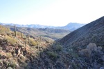 photo thumbnail #11