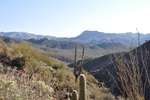 photo thumbnail #12