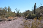 photo thumbnail #8