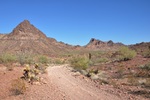 photo thumbnail #9
