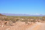 photo thumbnail #10
