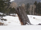 photo thumbnail #1