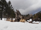 photo thumbnail #2