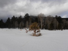 photo thumbnail #6