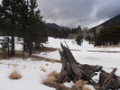 photo thumbnail #7