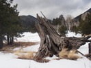 photo thumbnail #8