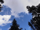 photo thumbnail #10