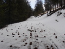 photo thumbnail #11
