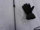 photo thumbnail #14
