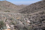 photo thumbnail #3