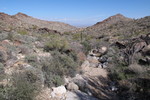 photo thumbnail #4