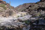 photo thumbnail #6