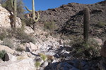 photo thumbnail #9