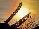 photo thumbnail #3