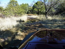 photo thumbnail #3