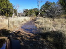 photo thumbnail #4