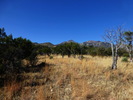photo thumbnail #12