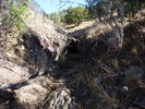 photo thumbnail #14