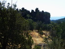 recent photo
