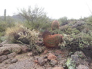 photo thumbnail #15