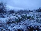 photo thumbnail #1