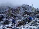 photo thumbnail #3