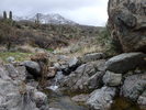 photo thumbnail #11