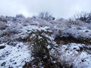photo thumbnail #2