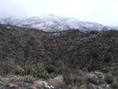 photo thumbnail #5