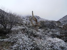 photo thumbnail #6