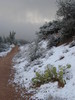 photo thumbnail #2