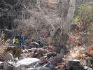 photo thumbnail #10