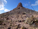photo thumbnail #5