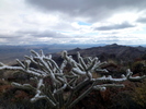 photo thumbnail #14