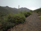 photo thumbnail #1