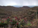 photo thumbnail #3