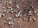 photo thumbnail #11