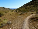 photo thumbnail #3