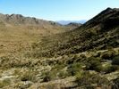 photo thumbnail #6