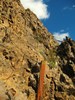 photo thumbnail #12