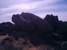 photo thumbnail #11