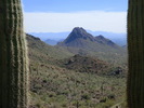 photo thumbnail #2